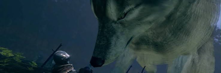 hamumun5319's profile banner image