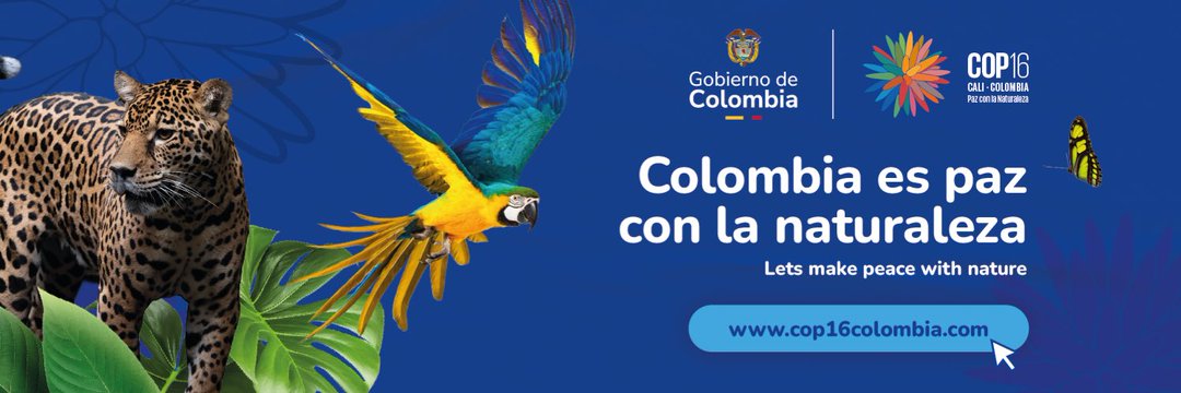 Csoficosta's profile banner image