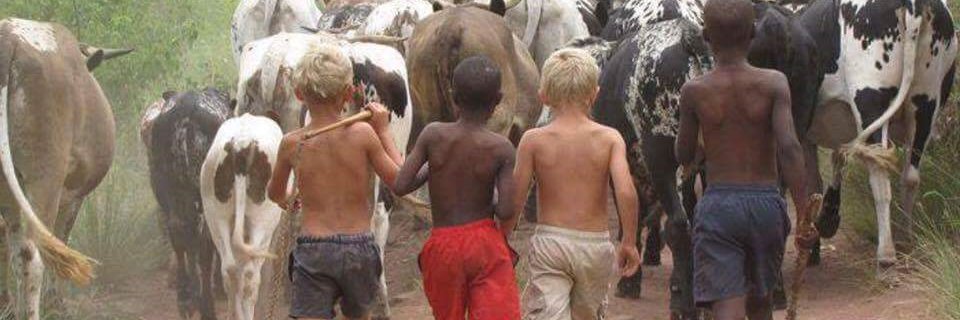 Sisi ndio Sifuna banner