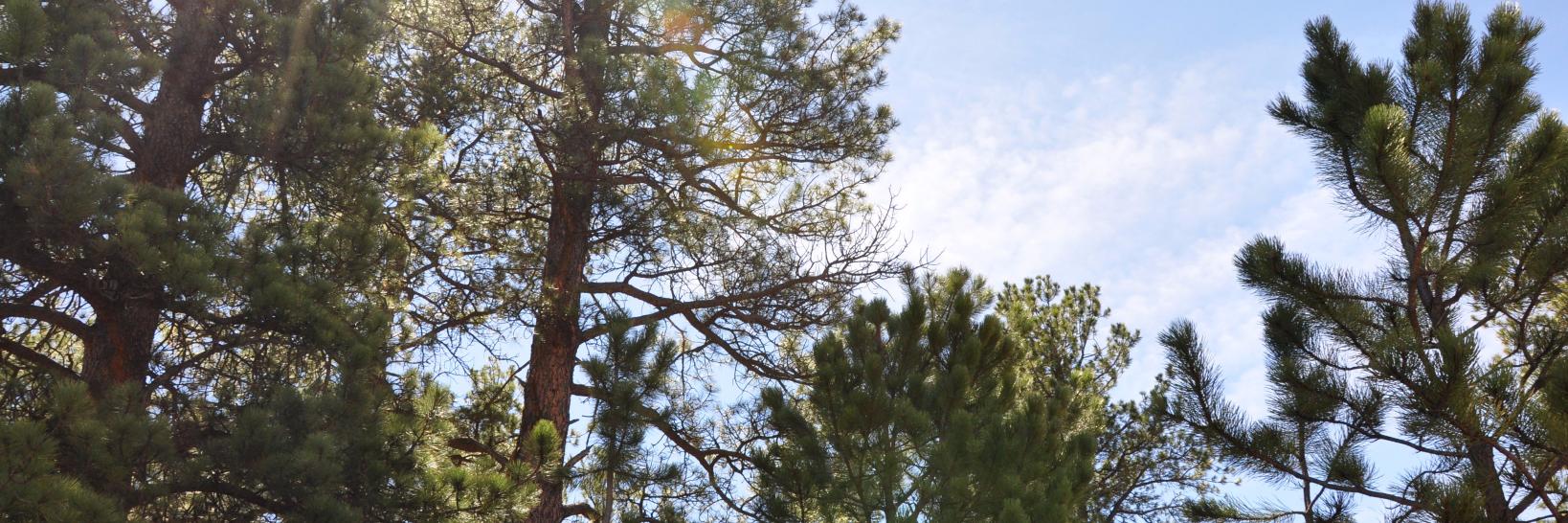 brennaswift's profile banner image