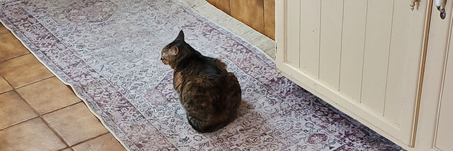 Metaphor 🌊🇨🇼 🏳️‍🌈 🌴 banner