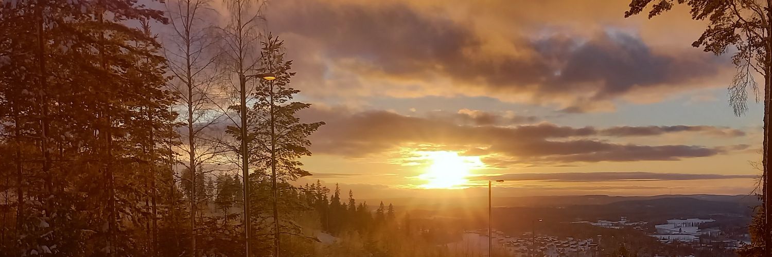 JHolstila's profile banner image