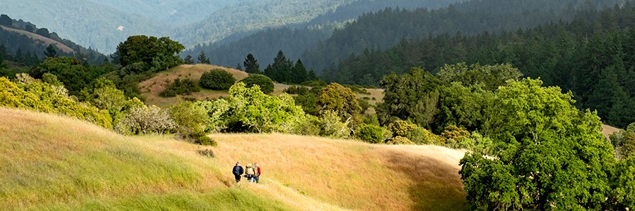 Looking for POST? banner