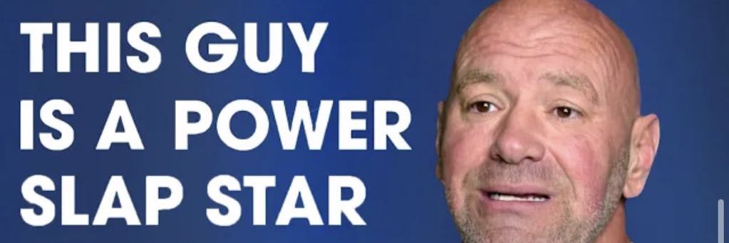 Casual UFC Fan banner