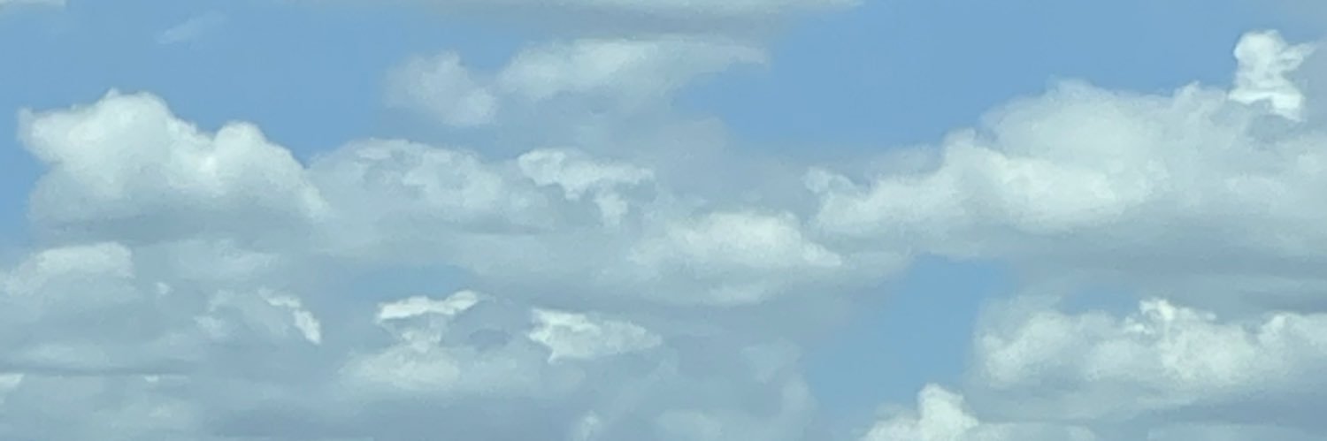 só Ramona | 🇵🇸 banner