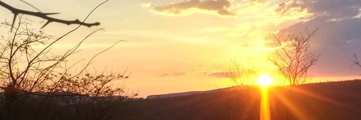 nandocte's profile banner image