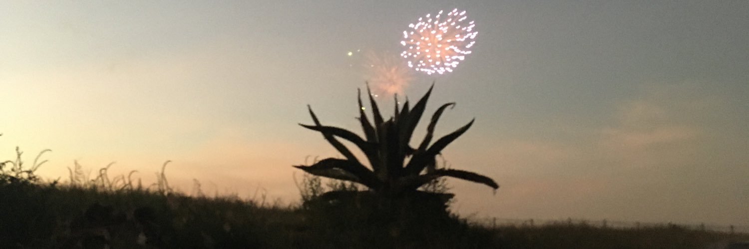 JPatoZM's profile banner image