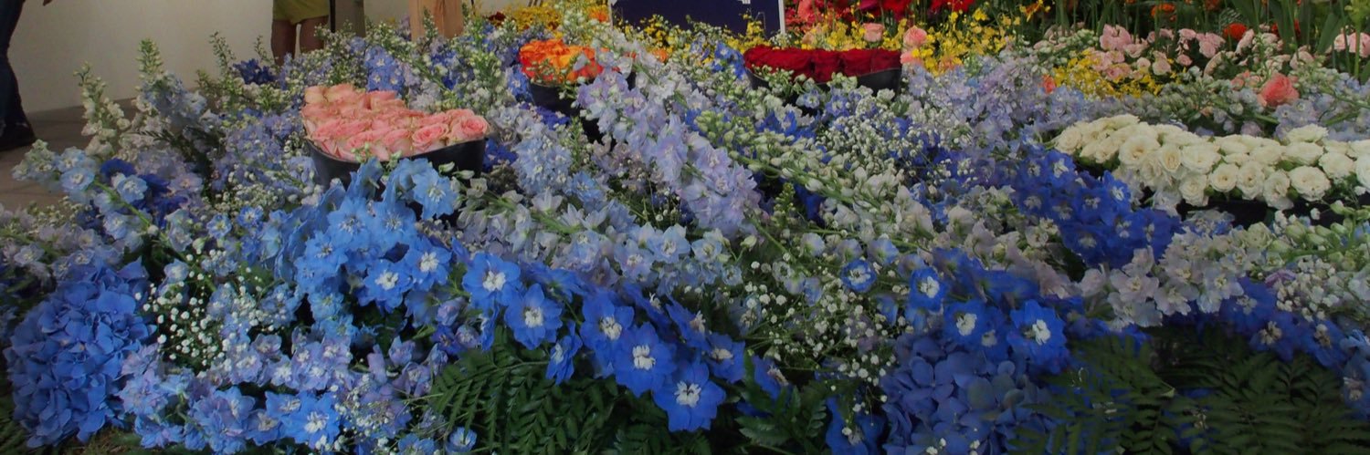 flowers_diary's profile banner image