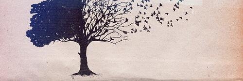 Pensario's profile banner image