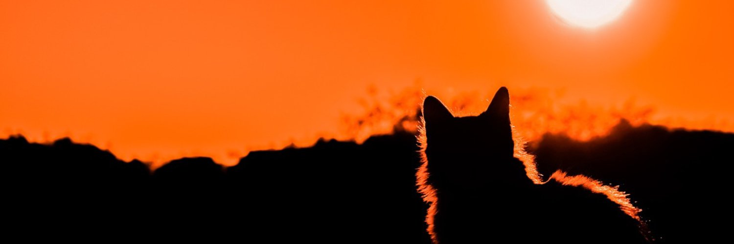 JuyMe banner