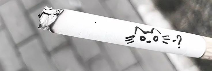 𓃠Sel ⁷🪭⊙⊝⊜ banner