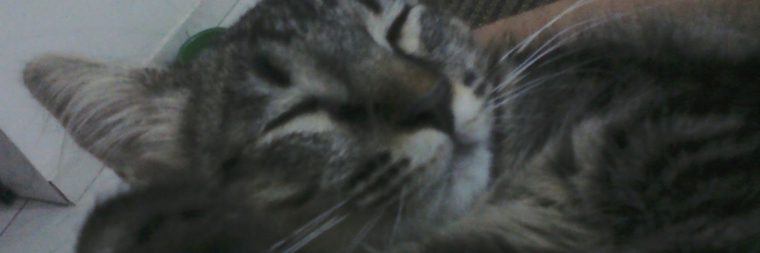 Missy_Clemente's profile banner image