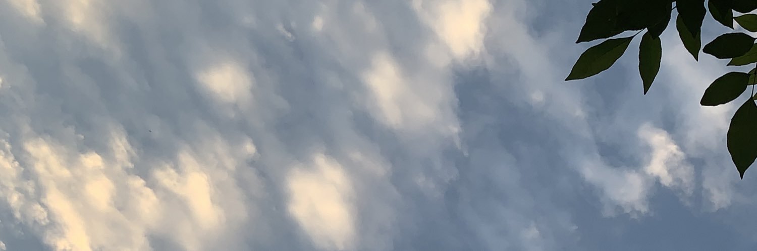 Nataly_rmirez's profile banner image