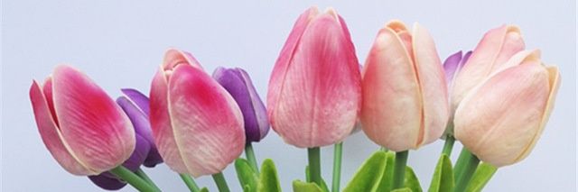 kshitijbsb's profile banner image