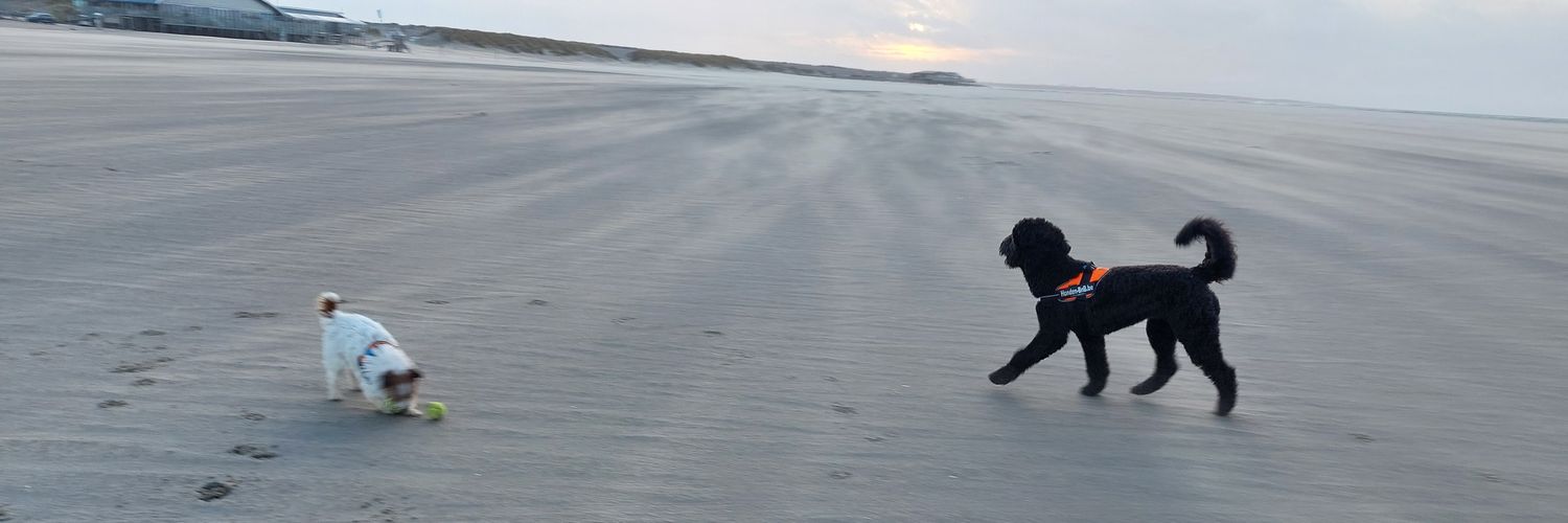 BennyLeemans's profile banner image