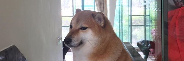 devianator404 Profile Banner