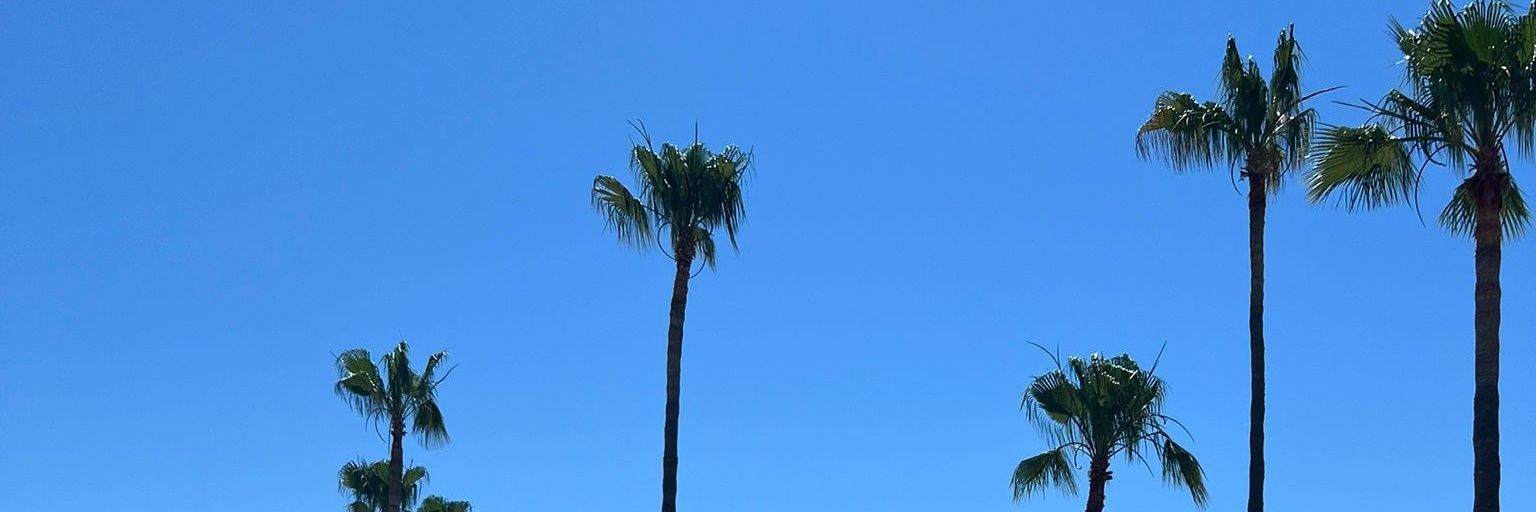 trstone05's profile banner image