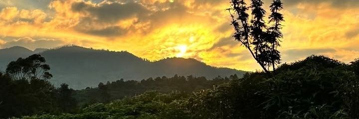 abrahul008's profile banner image