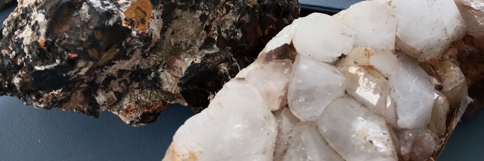 jules (formerly jake) banner