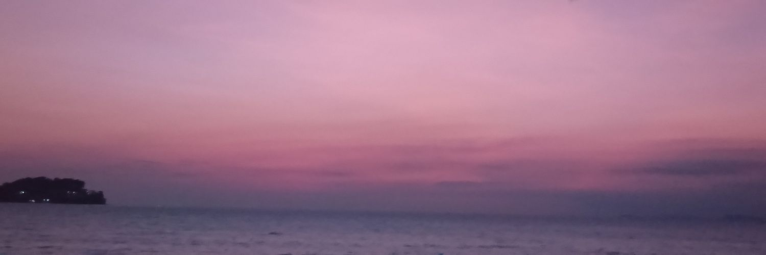 MissesSync's profile banner image