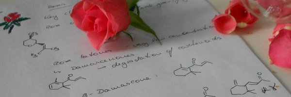 NatalieFey_NLS Profile Banner