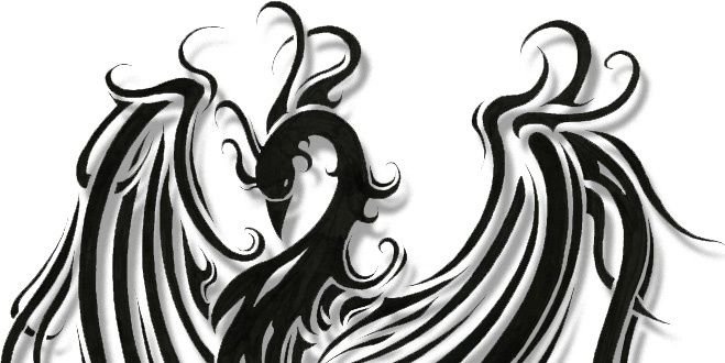 moacirpfau's profile banner image