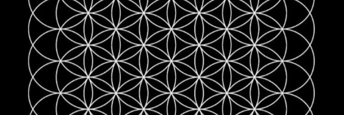peymanmoayed banner