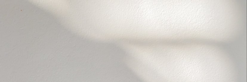 jupiterpeach_'s profile banner image