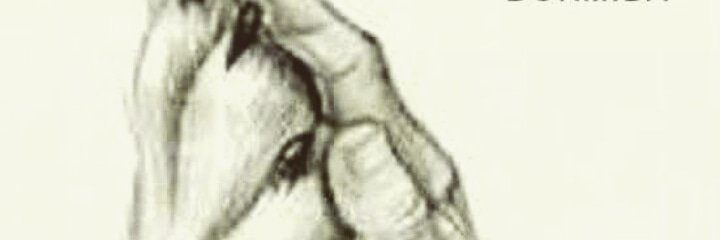 PeluditosDf's profile banner image