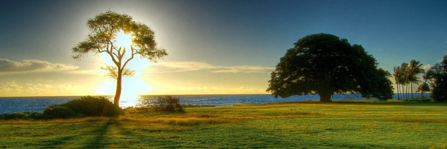 SebastianRdz's profile banner image
