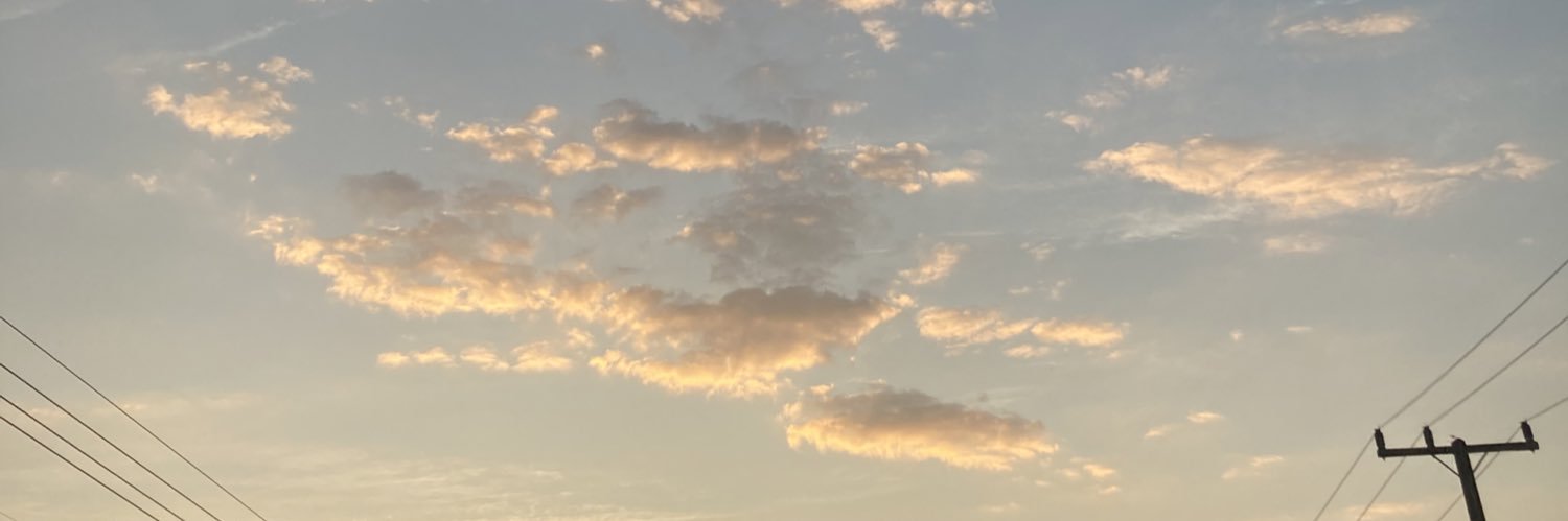 🌳😼 banner