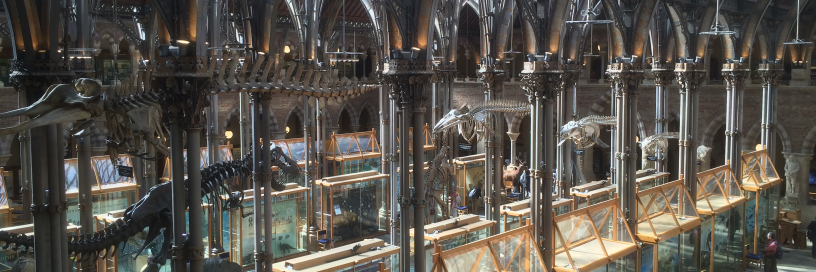 Rob Sansom🐟 banner