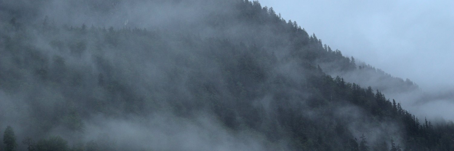 Anna Marie Rosická 🇺🇦☮️ @annarosicka.bsky.social banner