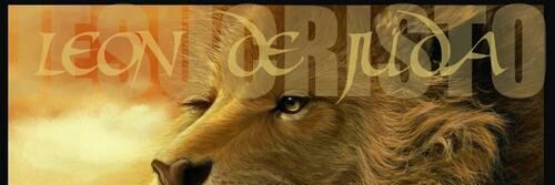 OKAP_ROMA's profile banner image
