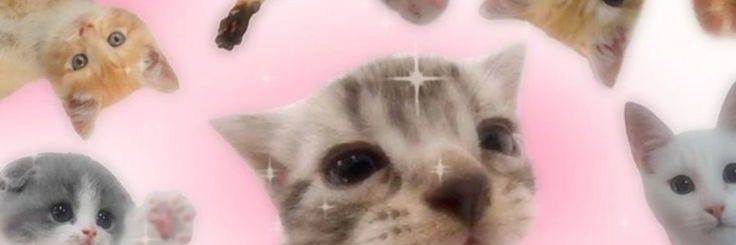 AKUNNEGATIP's profile banner image