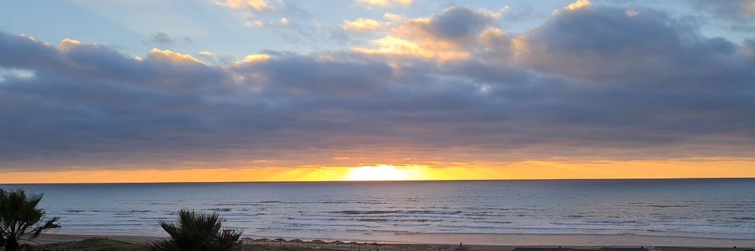 محمد ناصر ..💛 banner