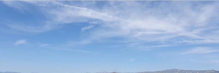 ᴠɪʀᴀɴɴᴏʀᴀ🌸 banner