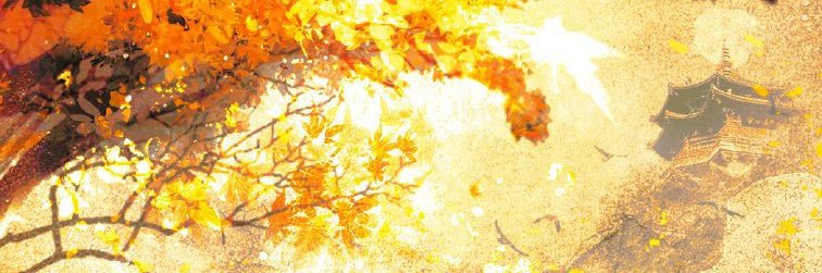 ᴀɴᴀɪᴅᴇɪᴀ ྀི banner