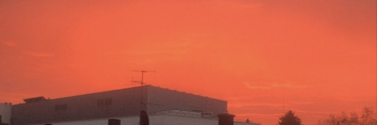 ainaraboricua's profile banner image