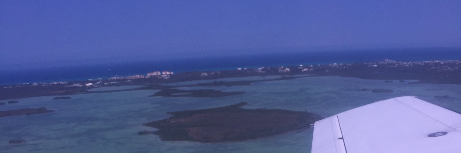 Momma slasher banner