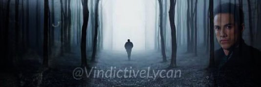 VindictiveLycan's profile banner image