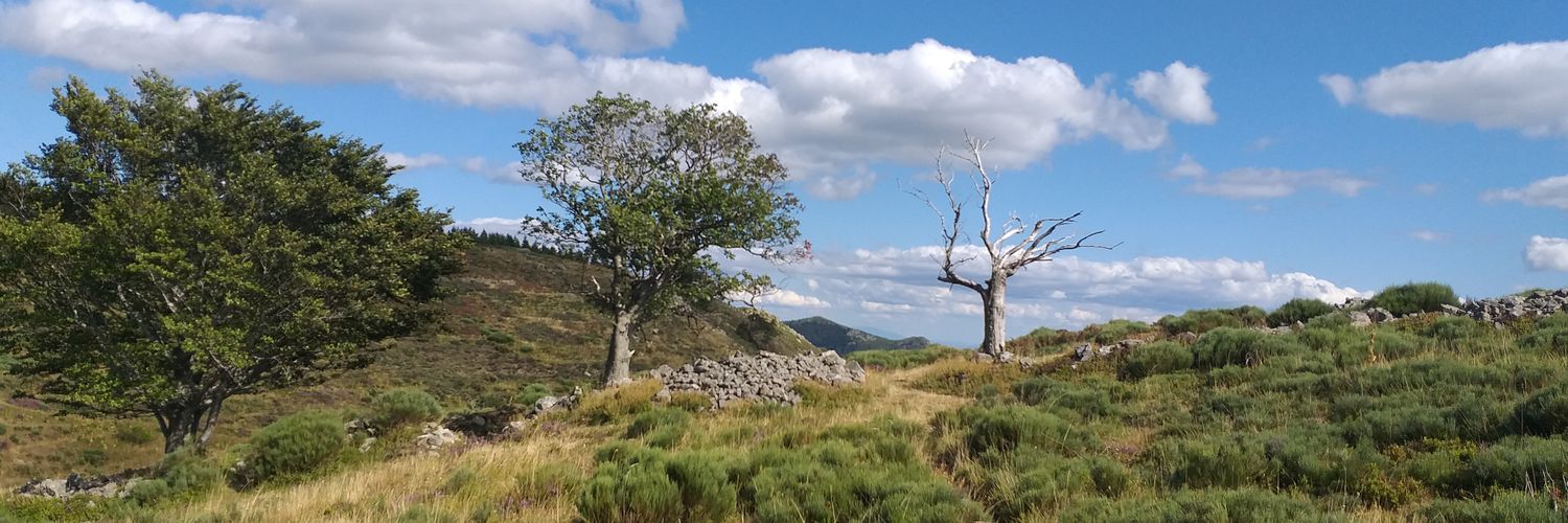 Géraldine Geay banner