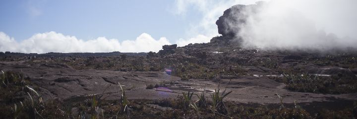 callmecoll_'s profile banner image