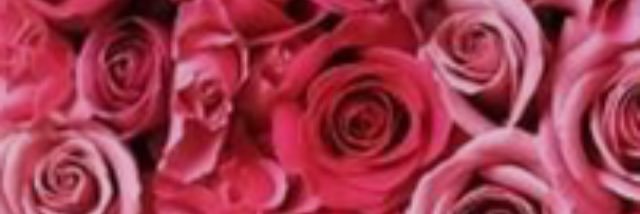 12342626's profile banner image