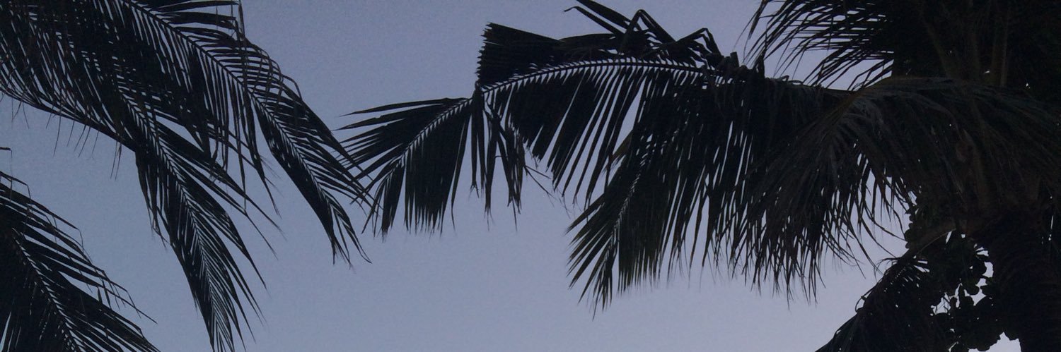 laaaraaas's profile banner image