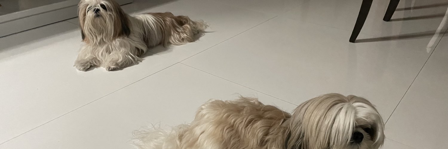 blasteer's profile banner image