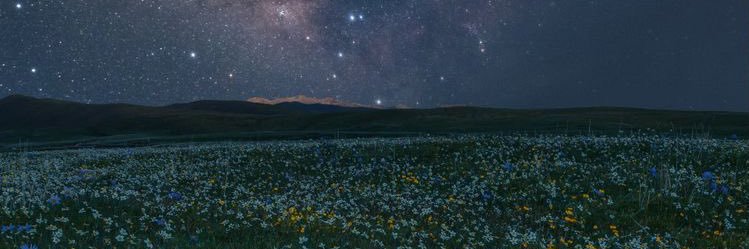 poeticallysad ☁️ banner