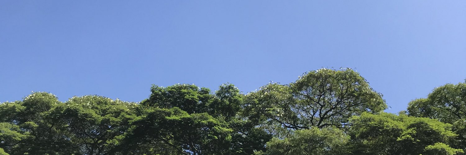 machosp banner
