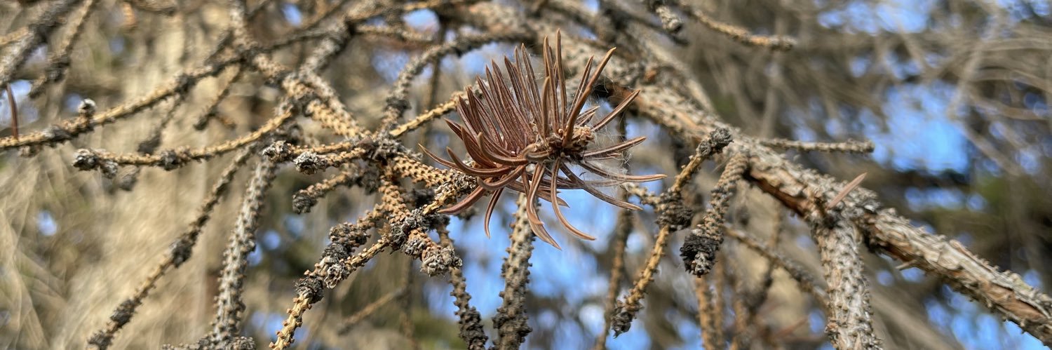 潔蜜三維劇本 banner