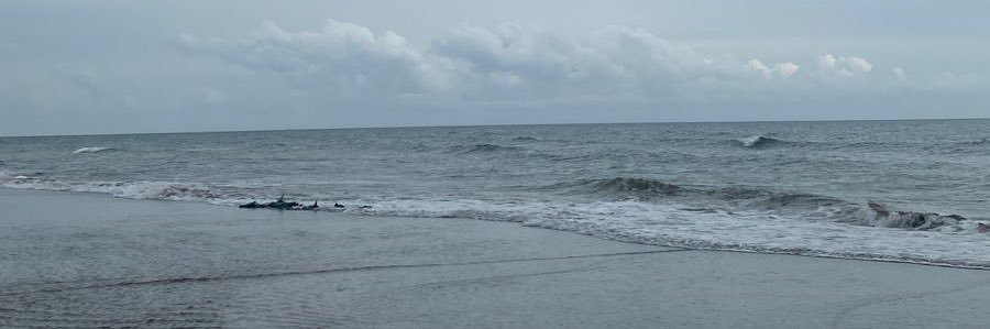 deem209's profile banner image